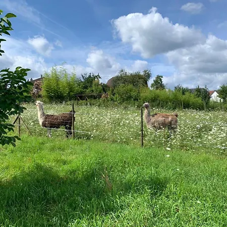 Hébergement de vacances Le logis du cocher